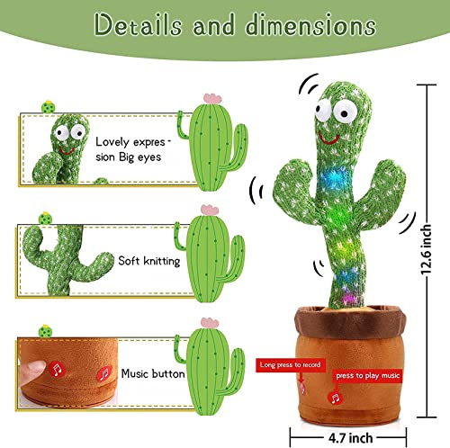 Dancing Cactus Toy