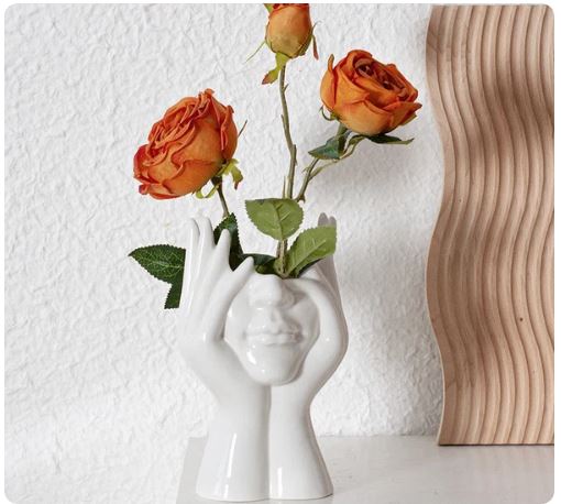 Aesthetic Face Vase
